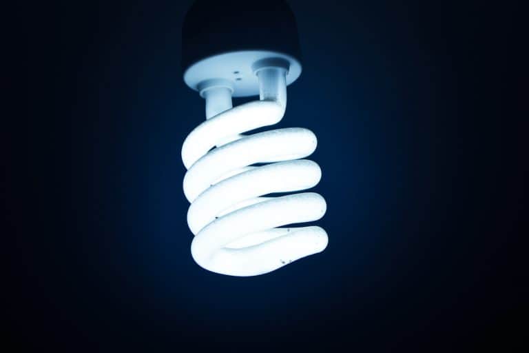 How Long Should Light Bulbs Last?