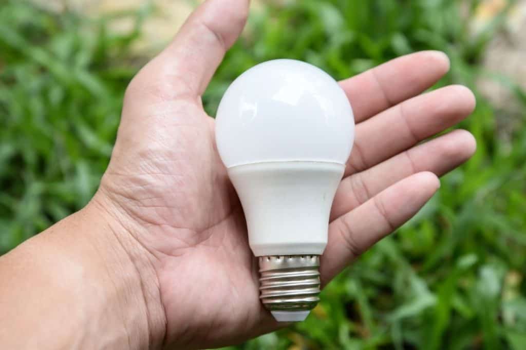 How Long Should Light Bulbs Last?