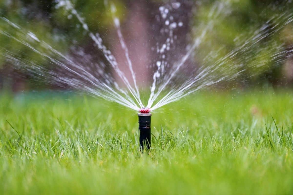 Is An Irrigation System Worth It?