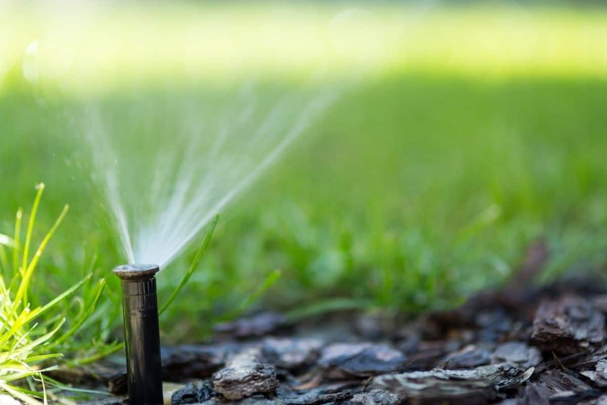 What Is A Smart Irrigation System?