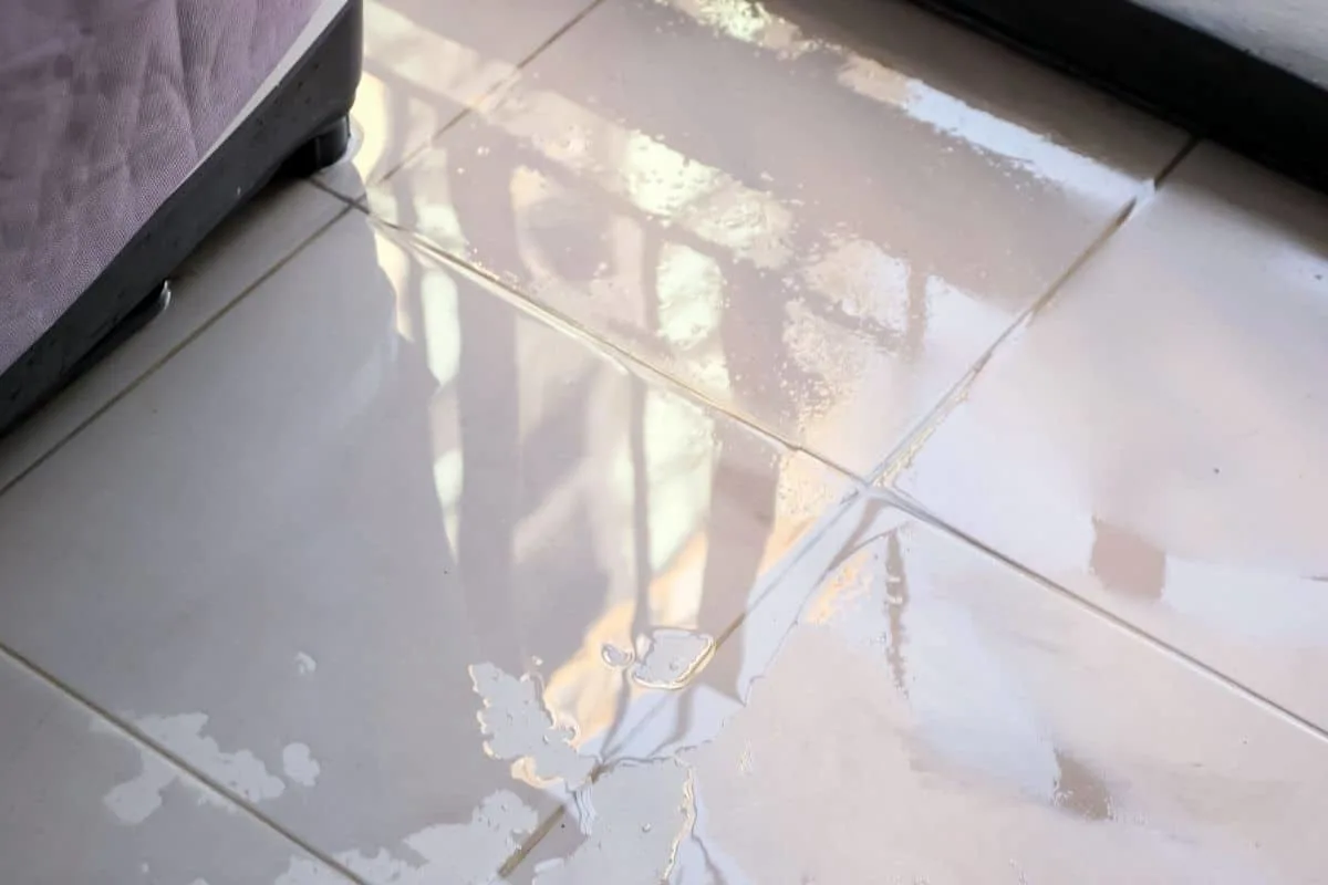 water puddle on tile bathroom floor