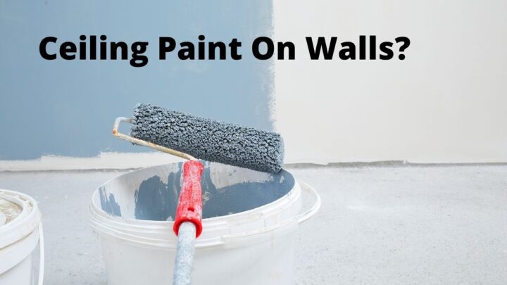 Can You Use Ceiling Paint on Walls?