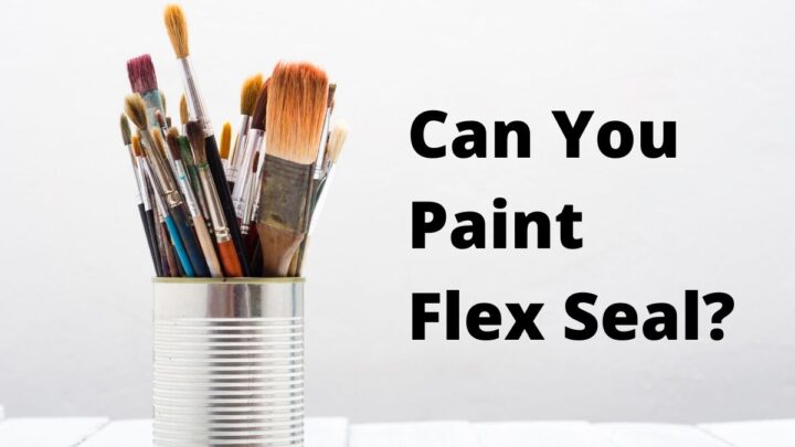 Can You Paint Flex Seal?