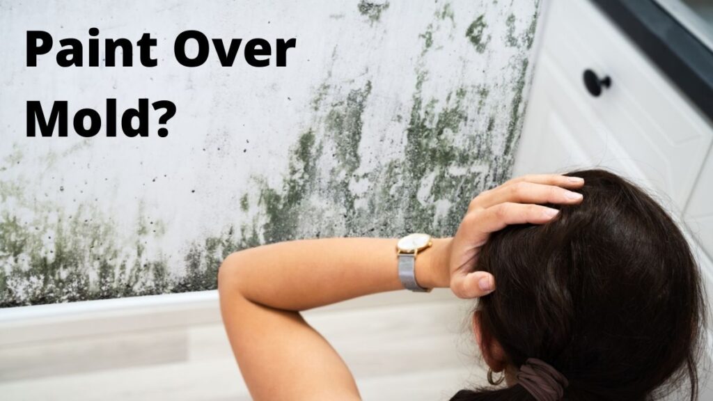 Can You Paint Over Mold?