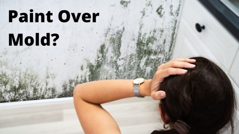 Can You Paint Over Mold