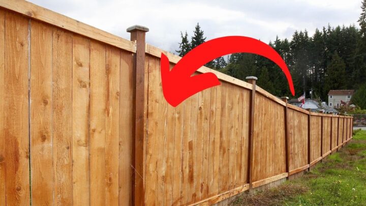 Do Cedar Fences Need to Be Stained, Sealed, or Treated