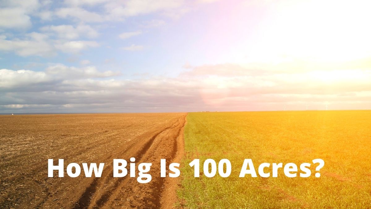 visual representation of 100 acres
