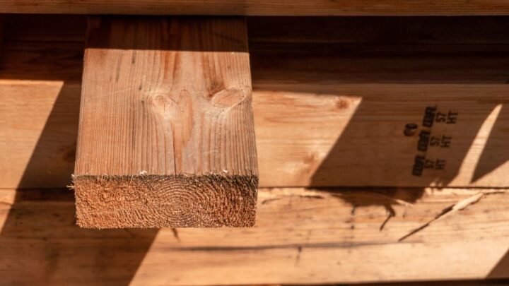Wood moisture
