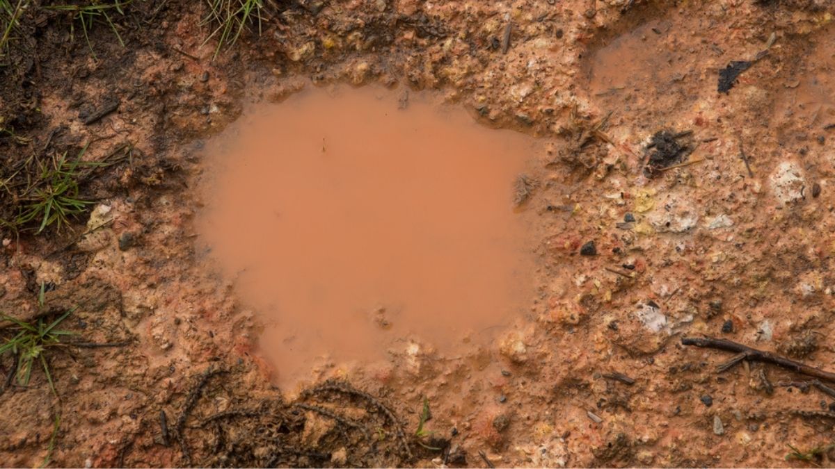 Why Are There No Basements In The South?