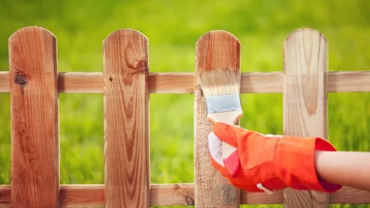 Wooden Fence