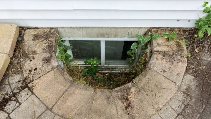 Egress Window