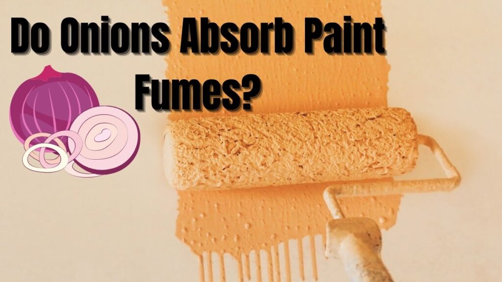 do-onions-absorb-paint-fumes