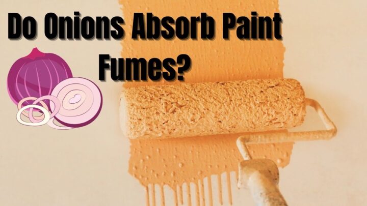 Do Onions Absorb Paint Fumes?