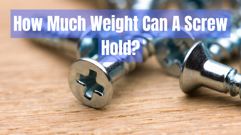 how-much-weight-can-a-screw-hold