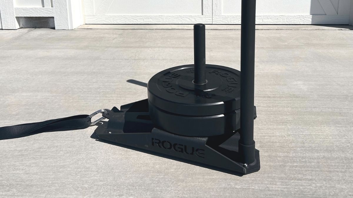 Rogue sled discount