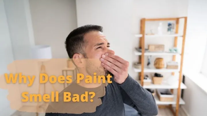Why Does Paint Smell Bad?