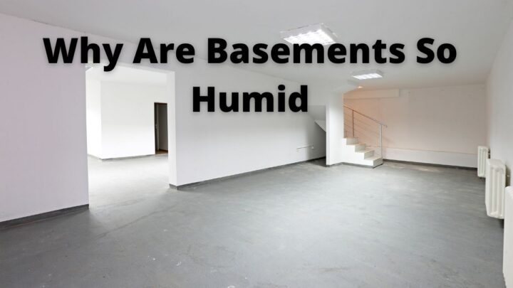 Why Are Basements So Humid?