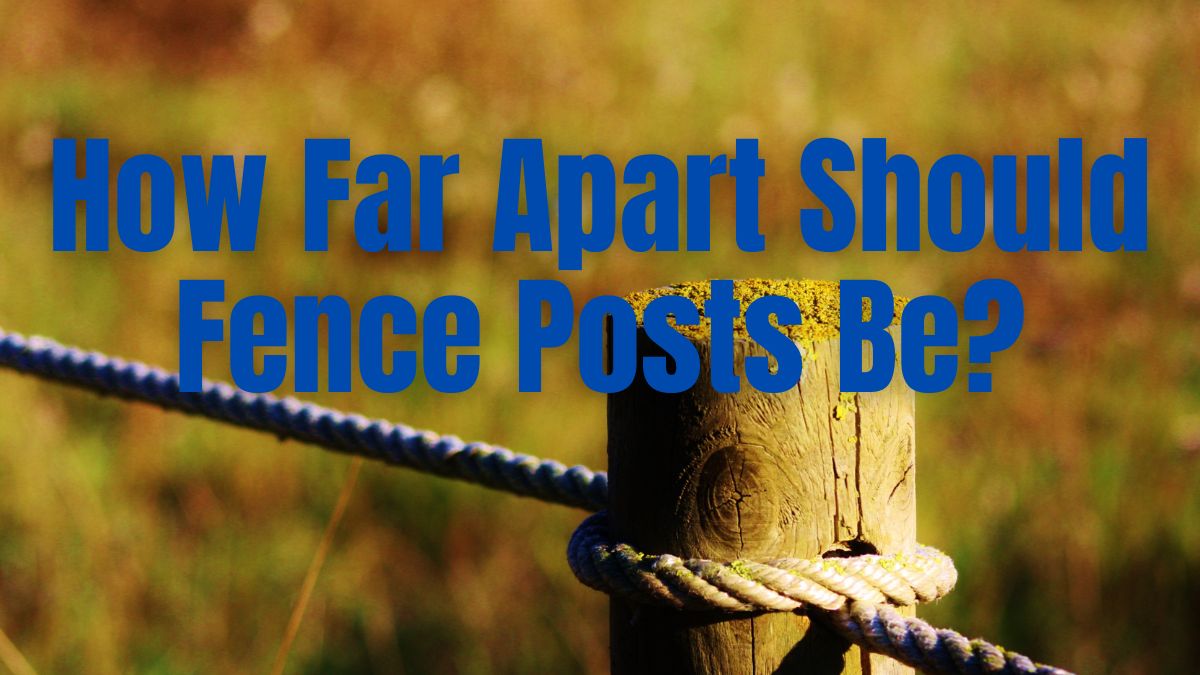 how-far-apart-should-fence-posts-be