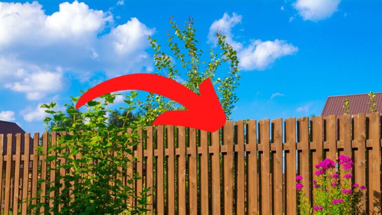 How Far Off the Property Line Should a Fence Be