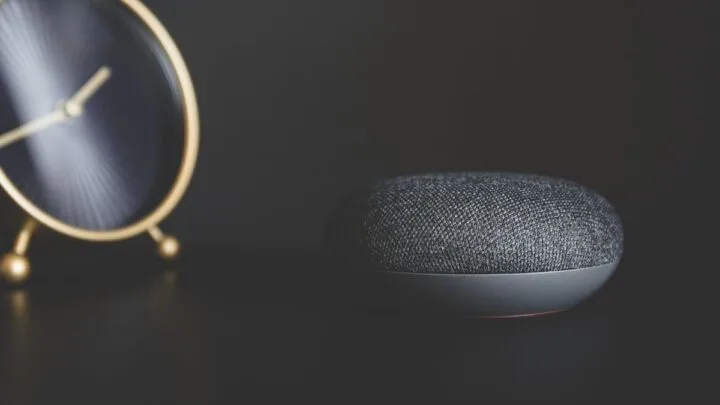 Google Home Devices