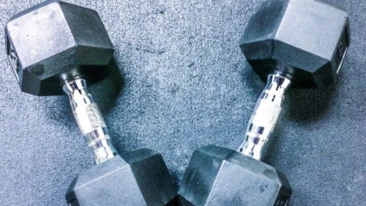 Free Weights