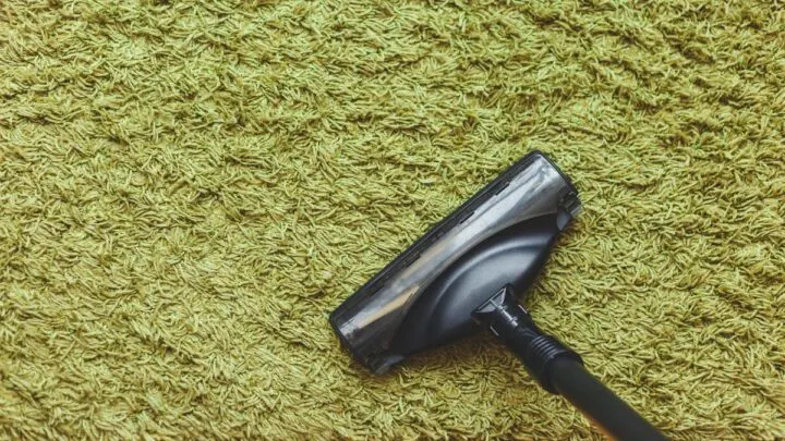 Carpet Cleaner