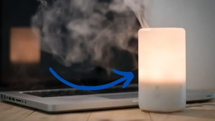 Can Humidifiers Cause Mold?