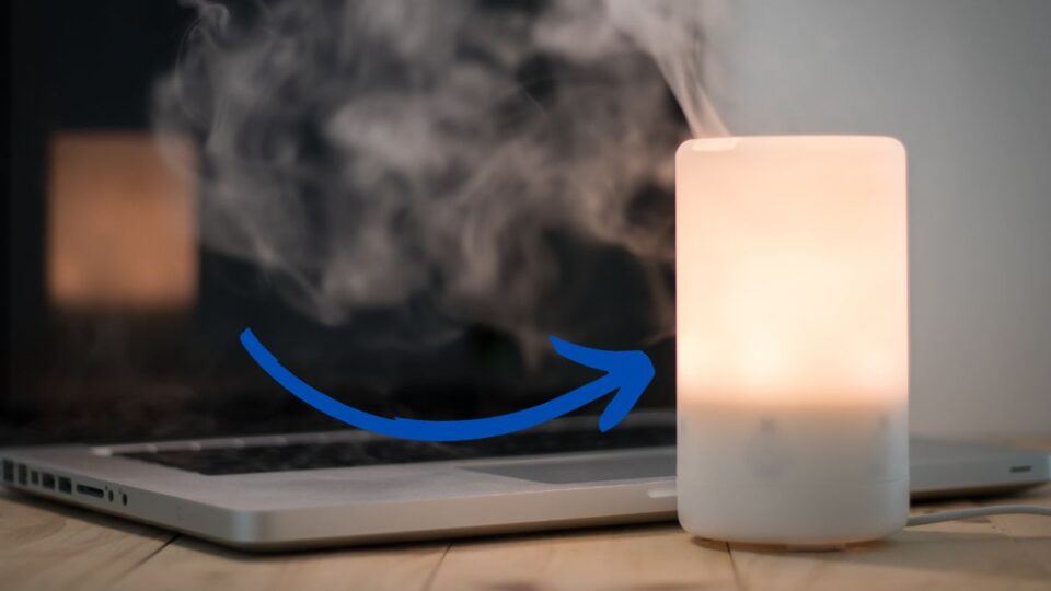 Can Humidifiers Cause Mold?