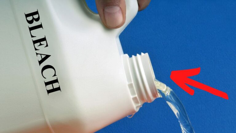 Can You Put Bleach In A Dishwasher