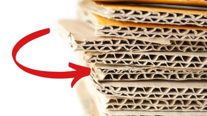 Can You Put Cardboard In The Oven?