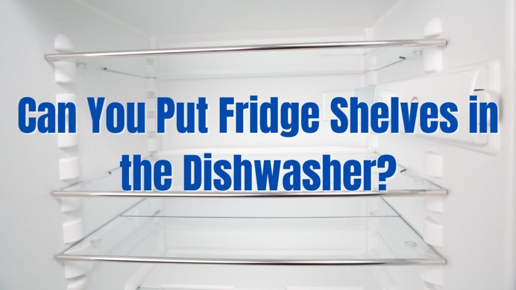 Can You Put Fridge Shelves in the Dishwasher_
