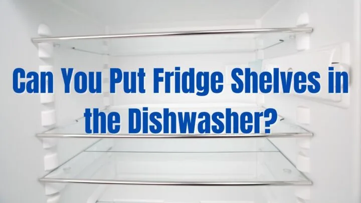 Can You Put Fridge Shelves in the Dishwasher?