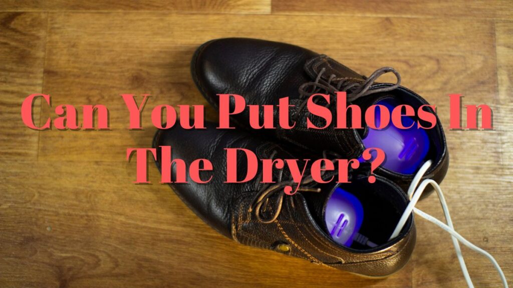 Can You Put Shoes In The Dryer_