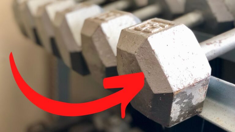 Gym Weight Names_ 7 Types of Free Weights to Know