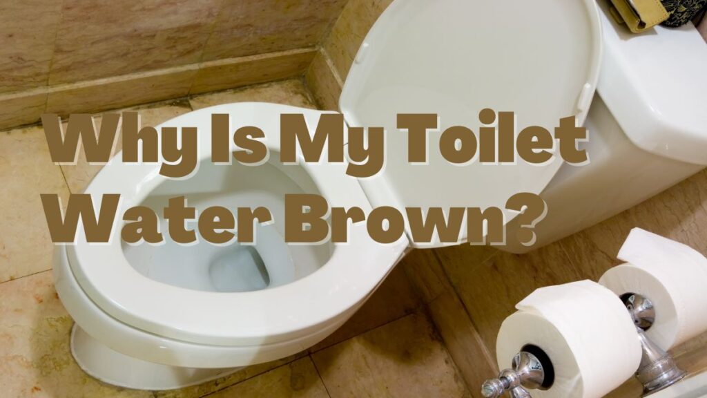 Why Is My Toilet Water Brown_