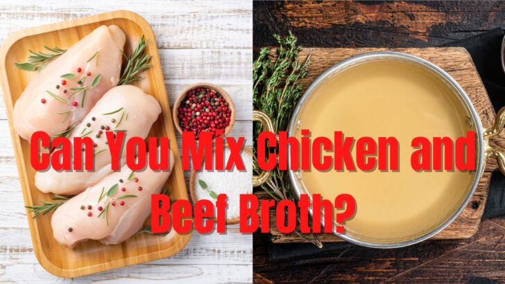 Can You Mix Chicken Meat and Beef Broth?