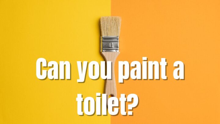 Can You Paint A Toilet?