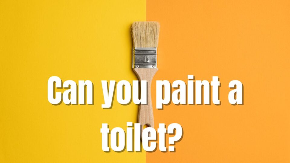 Can You Paint A Toilet?