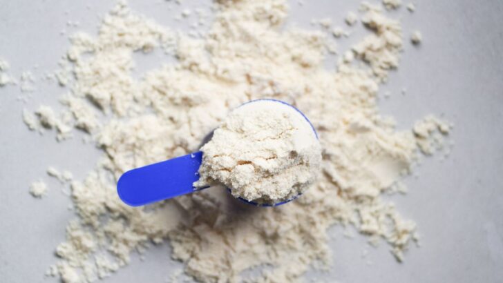 Protein powder in a blue scoop