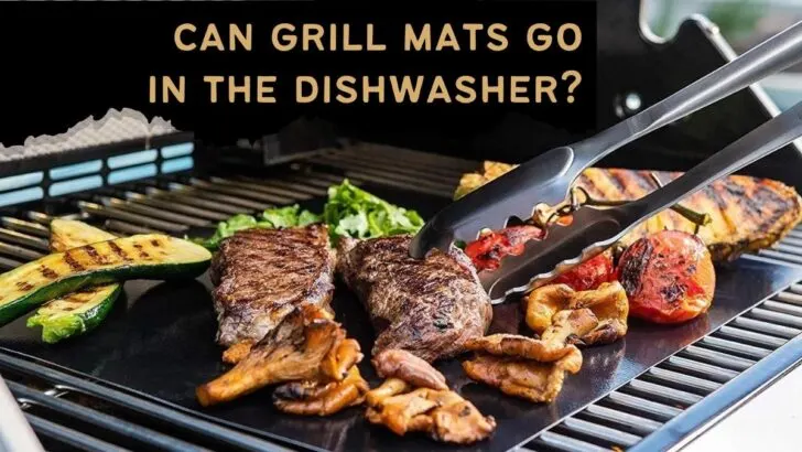 Can Grill Mats Go In The Dishwasher?