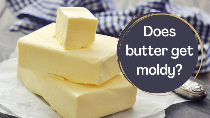 Does Butter Get Moldy?