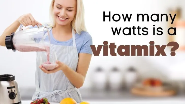 How Many Watts Is A Vitamix?