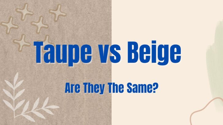 Taupe vs. Beige: Are They The Same?