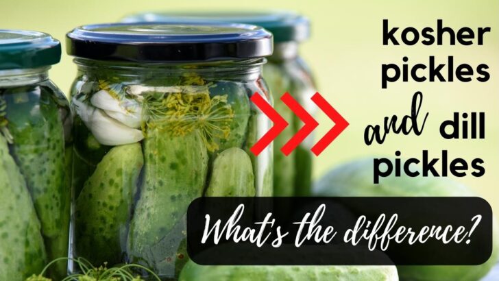 What’s The Difference Between Kosher Pickles And Dill Pickles?