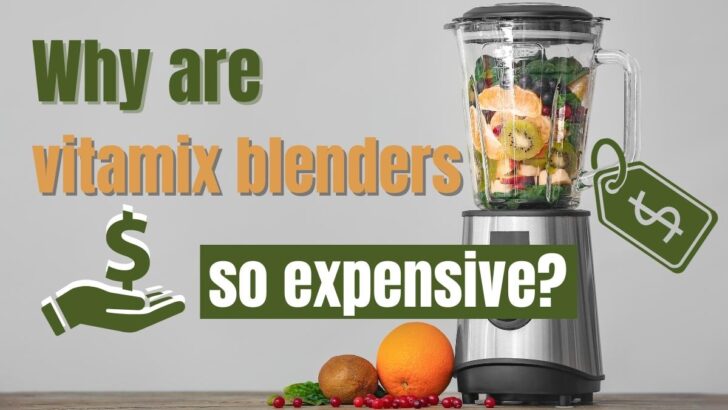 Why Are Vitamix Blenders So Expensive?