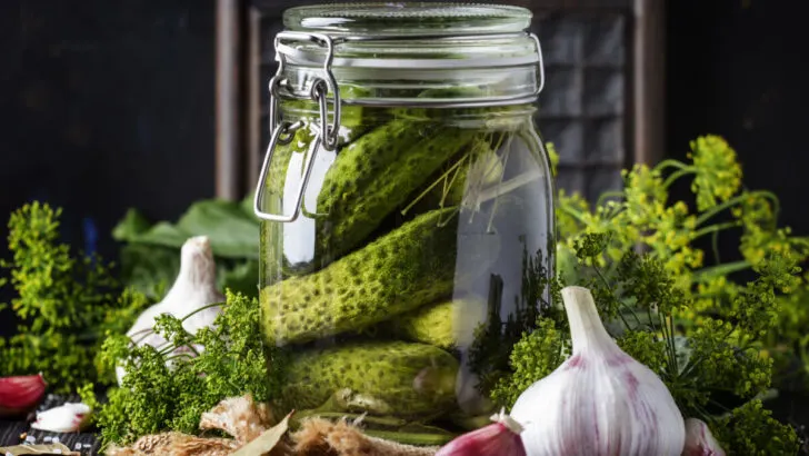 kosher pickles in a jar