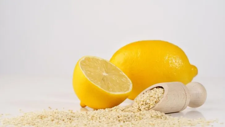 lemon seeds and lemons