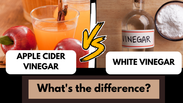 Apple Cider Vinegar vs. White Vinegar: What’s The Difference?