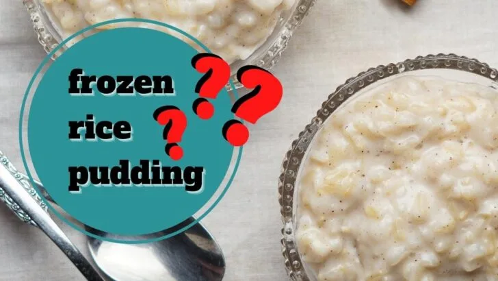 Can Rice Pudding Be Frozen