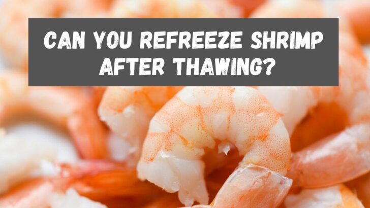 Can You Refreeze Shrimp After Thawing?